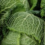 Balancing Nutrition and Time: How to Eat Healthy on a Busy Schedule