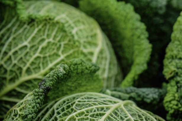 Balancing Nutrition and Time: How to Eat Healthy on a Busy Schedule
