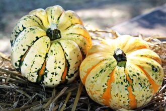 How to Start Healthy Meal Planning: Tips for Beginners