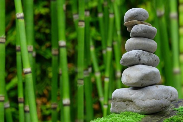 Exploring Emotional Wellness Practices: How to Cultivate a Healthier