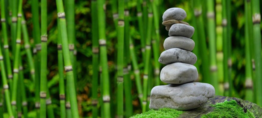 Exploring Emotional Wellness Practices: How to Cultivate a Healthier