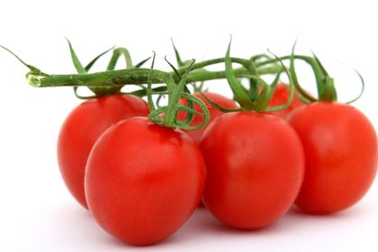 Understanding Nutrition Basics Explained Simply